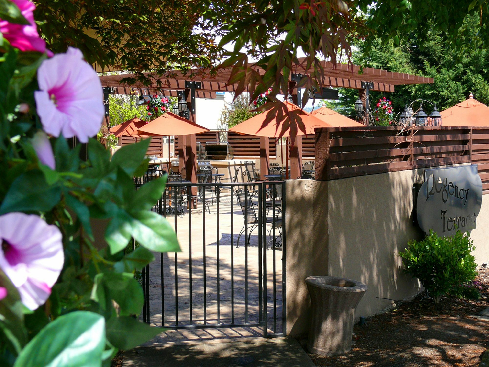 Rogue Regency & 3* Medford